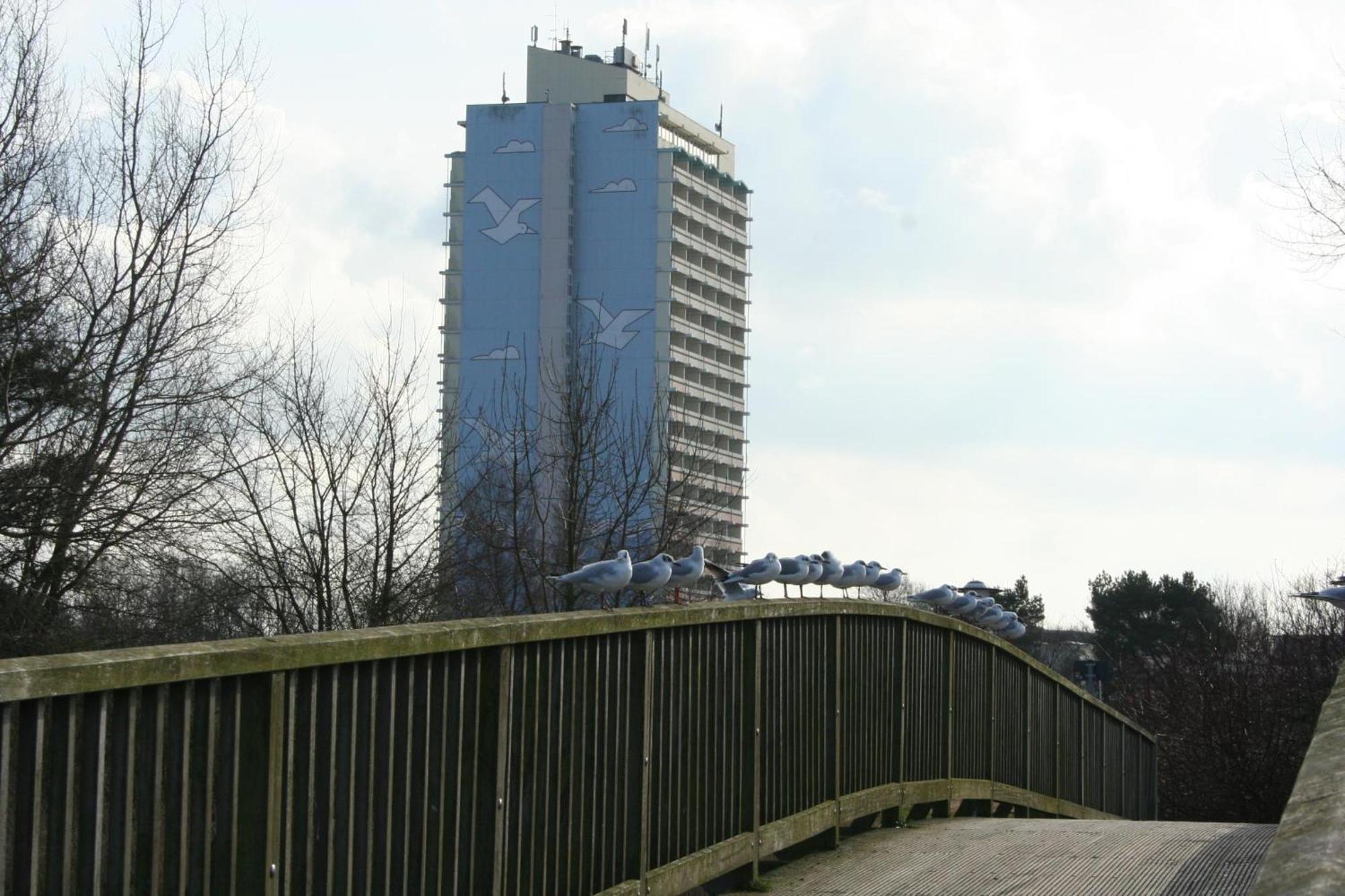 ברזיליאן Ferienappartement K110 Fuer 2-4 Personen In Strandnaehe מראה חיצוני תמונה